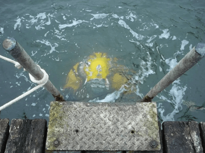 Водолазы Северо-Западного округа Росгвардии провели учения в акватории Финского залива