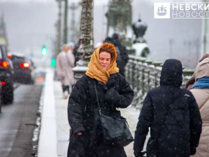 МЧС предупредило об ухудшении погодных условий в Петербурге 18 февраля