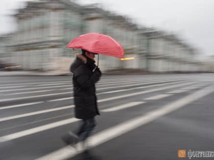 Вот такой декабрь. Ветер сдувает петербуржцев при температуре до +6 градусов