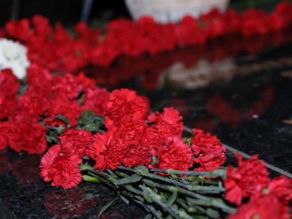 «Два непокоренных города, дух которых не сломил враг», - петербургские единороссы участвуют в мероприятиях к 80-летию победы в Сталинградской битве