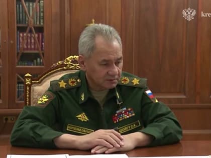 Путин назначил Шойгу координатором работы по развитию ОПК
