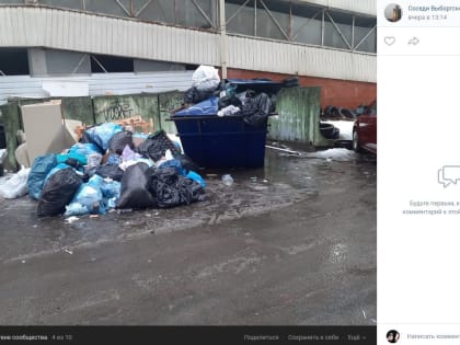 «Мы зарастаем в мусоре. Помогите!»: петербуржцы боятся нашествия крыс из-за не убранных с улиц отходов