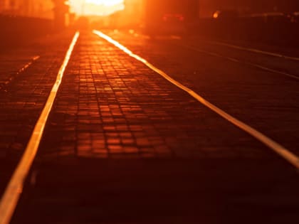 С 11 декабря из Мги в Рыбацкое будут ездить дополнительные поезда