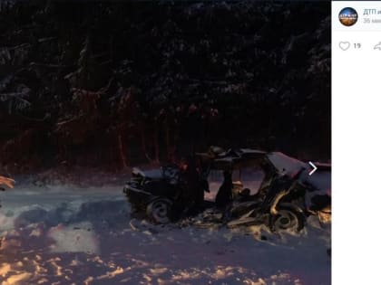 Водитель легковушки погиб в Ленобласти после столкновения с автобусом