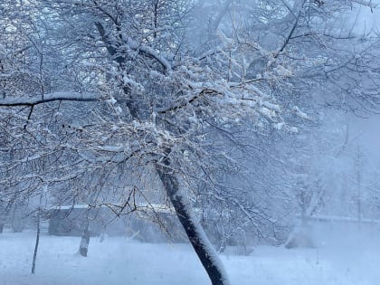 Куда исчезают жители Нижегородской области? Волонтеры получили больше 100 заявок на поиски
