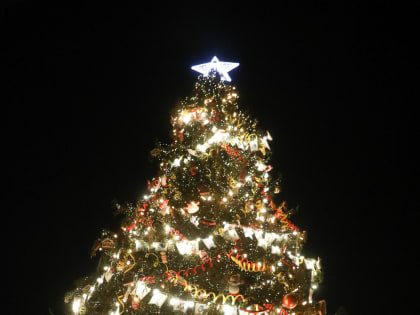 Германская таможня может конфисковать новогодние посылки с «санкционными подарками» из России