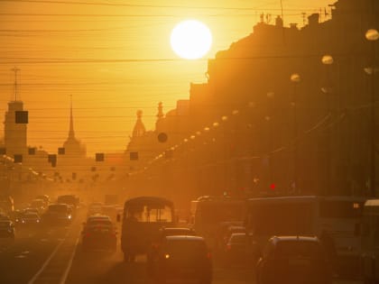 Главный синоптик Петербурга подвел температурные итоги середины лета