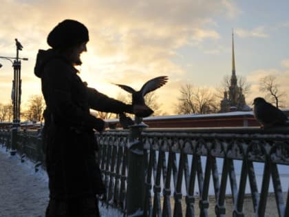 В Петербурге небольшой мороз и снова может появится солнце