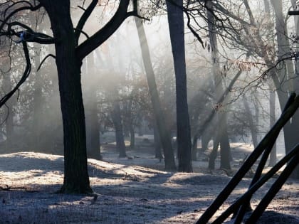 Сквер Слепых Слухачей и сад Милосердия: 17 безымянным территориям в Петербурге присвоят названия