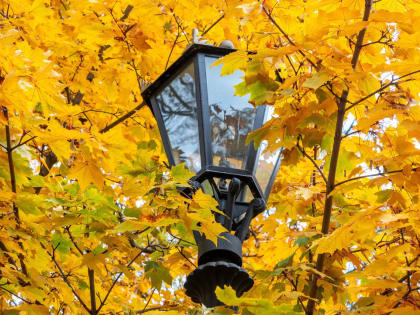 В Ленинградской области разработают пятилетнюю программу по уличному освещению