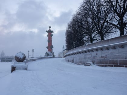 В школе на Лермонтовском проспекте – вспышка кишечной инфекции