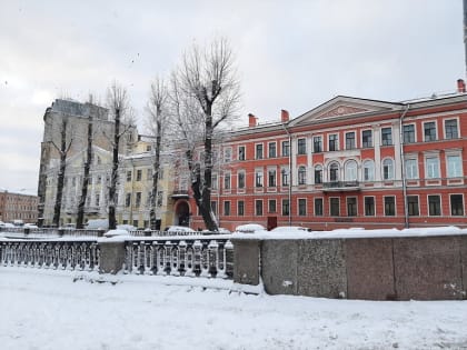 Активисты заявили о подделке документов по вырубке деревьев на Грибоедова