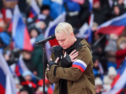 «У вас есть другой молодой патриот?» Петербургским школьникам задали на дом презентацию по лирике SHAMANа