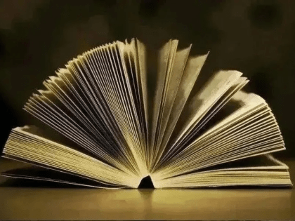 В Петербурге проходит международный чемпионат по чтению вслух