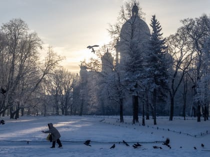 Готовьтесь утепляться. Главный синоптик Петербурга предупредил о грядущем похолодании