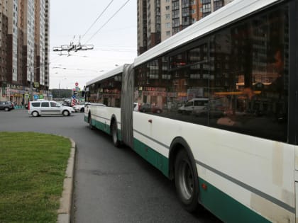 Политолог рассказал о преимуществах отказа от коммерческого транспорта в Петербурге