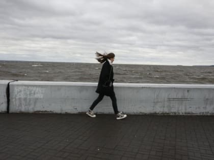 Из-за штормового ветра в Петербурге объявили “желтый” уровень погодной опасности