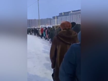 Жители Мурино вынуждены мерзнуть в километровой очереди в ожидании автобуса на Шувалова