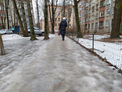 «Собакам только хорошо»: после оттепели улицы Петербурга превратились в сплошной каток