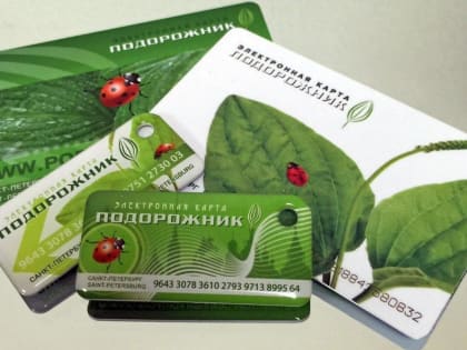 За двумя зайцами: петербургский комтранс взялся за «Подорожник» в виде брелоков, не доделав виртуальный