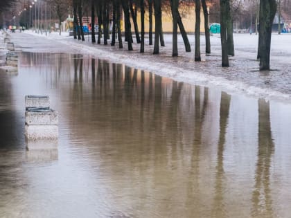 Циклон принесет в Петербург снегопад и оттепель 29 января