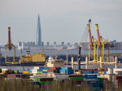 В Петербург не пустили 56 тонн кунжута из-за проблем с исследованием на качество