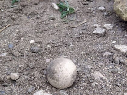 Глава Крыма подтвердил атаку по региону ракетами ATACMS и показал фото несдетонировавших суббоеприпасов