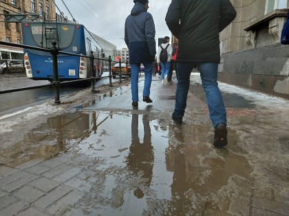 Разгневанные петербуржцы высмеяли очередной бодрый отчет комблага про уборку снега