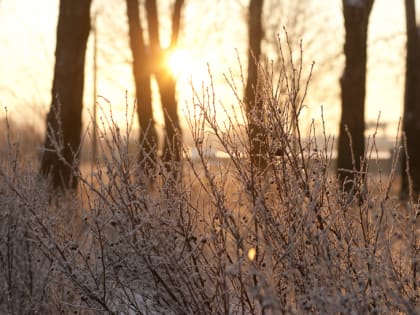 МЧС: крепкие морозы до -27 градусов нагрянут в Ленобласть перед Рождеством