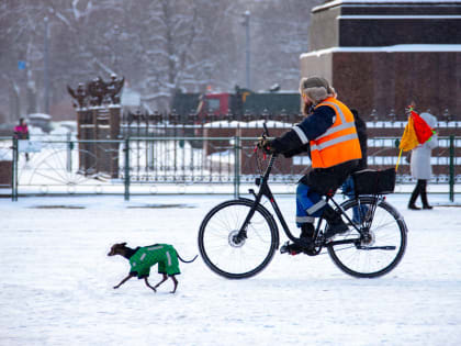 Высокое давление и заморозки: погоду в Петербурге 4 февраля ухудшит циклонический вихрь
