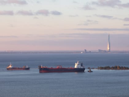 Из портов Ленобласти с начала года экспортировано более 280 тысяч тонн зерна