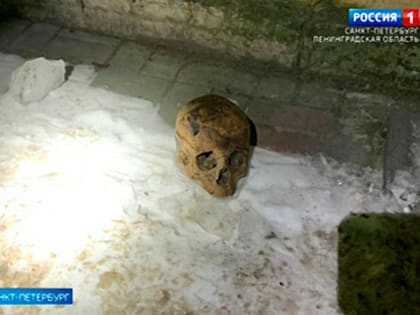 Человеческий череп выкопали рабочие во время ремонта водопровода на Средней Подьяческой улице