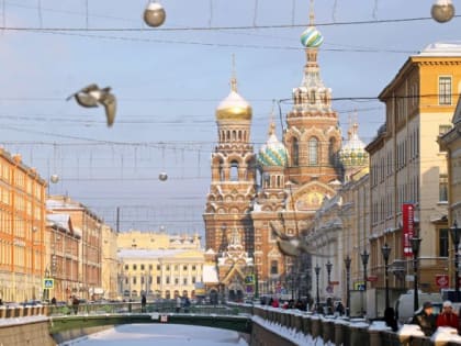 Президент ЮАР приедет летом в Петербург на саммит Россия-Африка