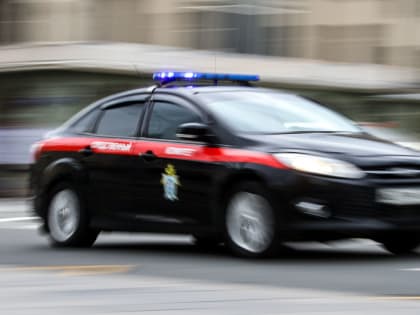 СК возбудил дело из-за аварийного состояния усадьбы Демидовых после поручения Бастрыкина