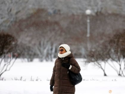 Что принесет гость из Белоруссии? Петербуржцам рассказали о субботней погоде