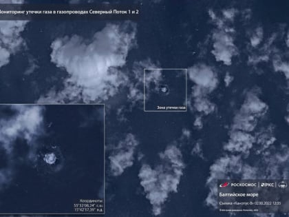 Как в России отреагировали на расследование о причастности США и Байдена к подрыву Северных потоков