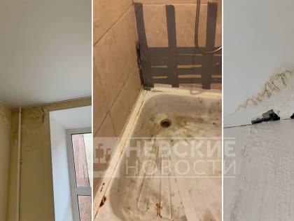 Оставшейся без жилья из-за капремонта петербурженке чиновники выдали временное, но с плесенью