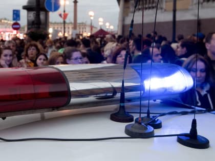 Инспекторы ДПС разбили стекло машины и втроем задерживали автоледи в Петербурге