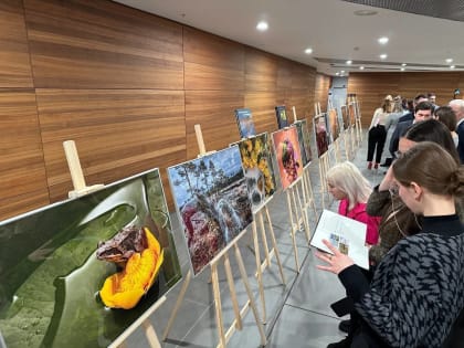 В «Невской ратуше» открылась бесплатная фотовыставка о заповедной природе Петербурга