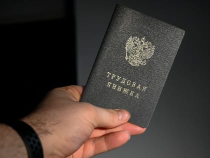 Петербуржцам назвали должности, на которые можно устроиться без документов об образовании