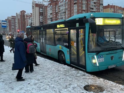 Как получить постоянный проездной детям участников СВО: инструкция