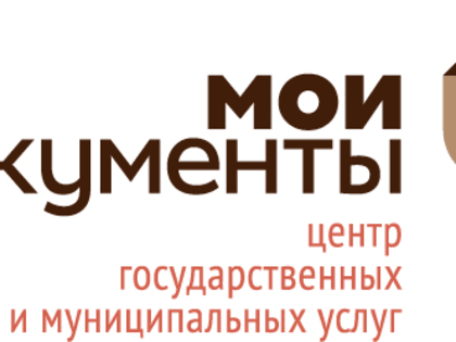 В подразделениях МФЦ Петербурга продолжают работу мобильные налоговые офисы