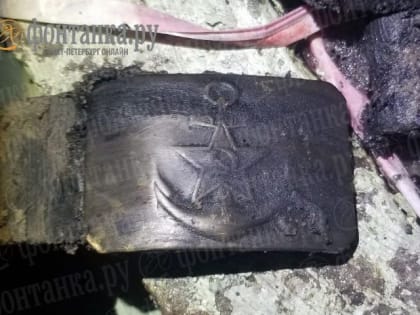 «Фонтанка» показывает, что нашли у больницы на Авангардной