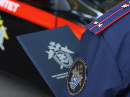 В СК заявили, что Бастрыкин не хотел оскорбить депутатов словами о «Государственной дуре»