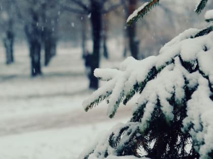 Теряющий силы циклон вернул в Петербург зиму 3 февраля