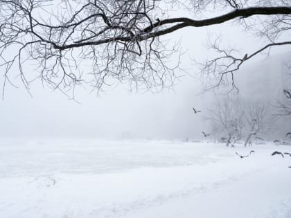 Каток в Московском парке Победы готов вновь встречать петербуржцев