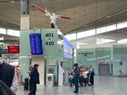 В петербургском аэропорту Пулково 31 января задержат три самолета