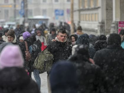 Петербуржцы сообщили о сбегающих от полиции нелегалах