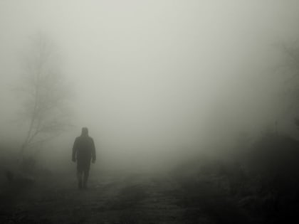 «ЛизаАлерт» занялась поисками пропавшего четыре дня назад петербуржца