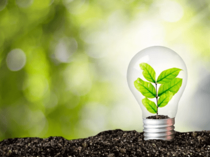 «Заключен контракт на строительство наружного освещения в жилом квартале в Василеостровском районе Санкт-Петербурга»